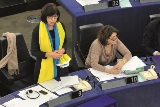 Українське питання для Європейського парламенту